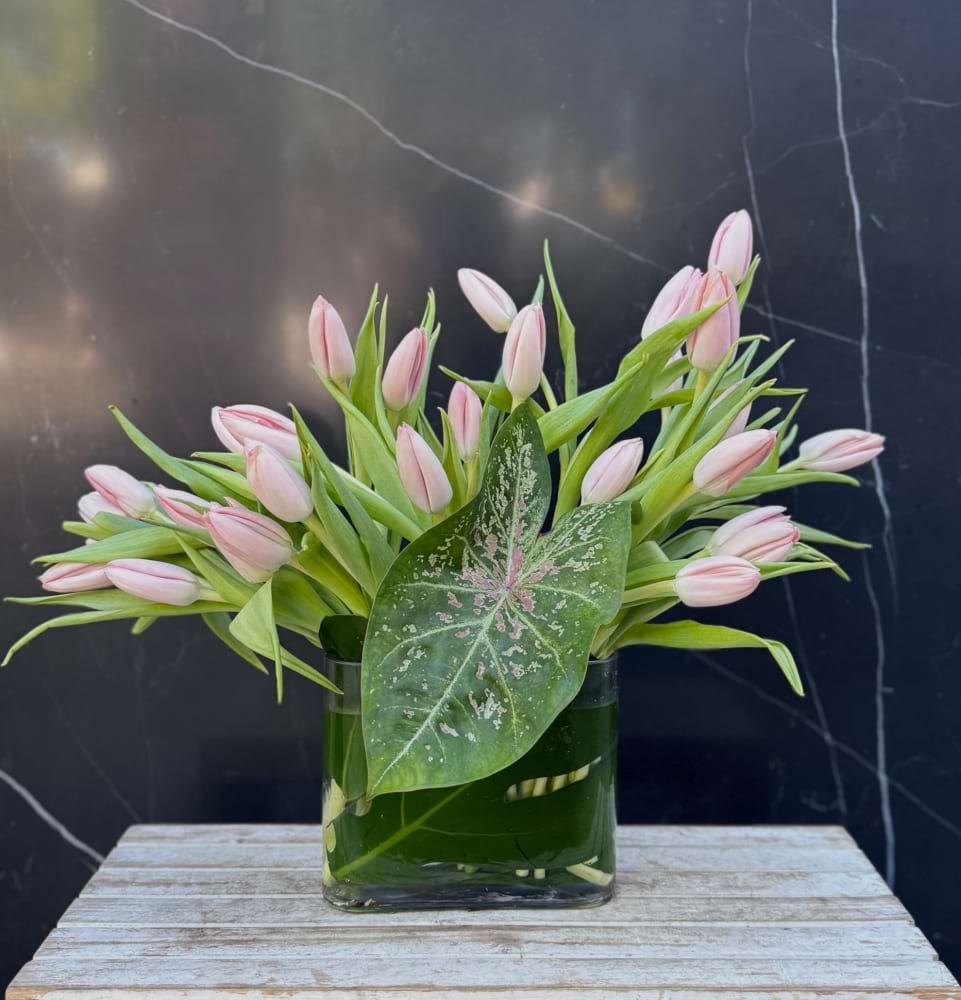 Tulip Cloud